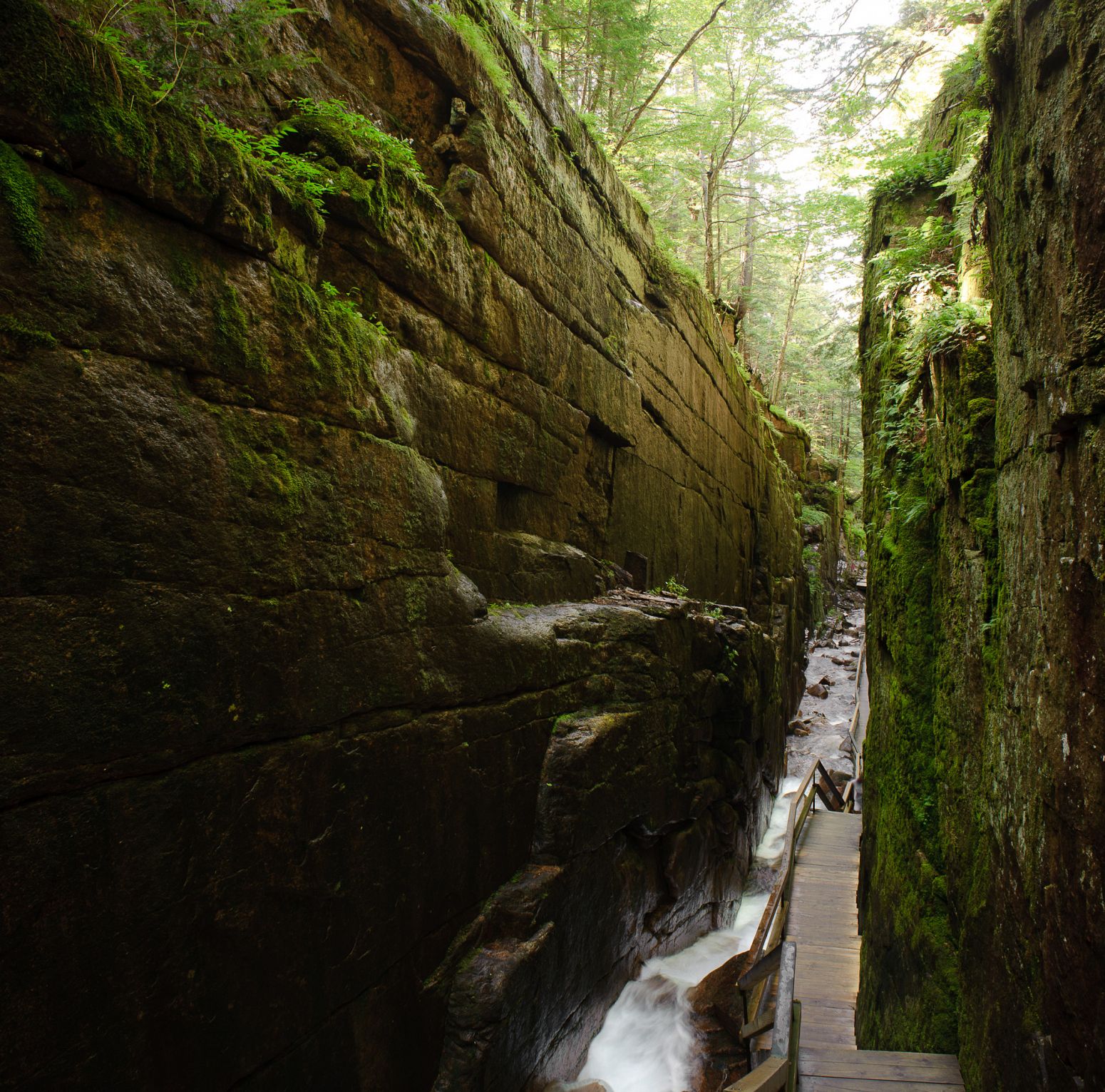 Franconia Notch SP, Lincoln, New Hampshire, USA